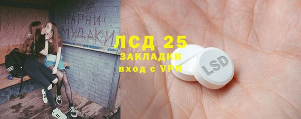 гашик Алексеевка