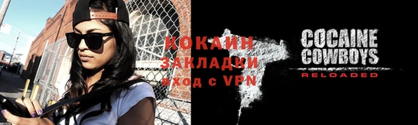 шишки Коряжма