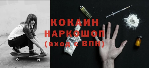 гашик Алексеевка