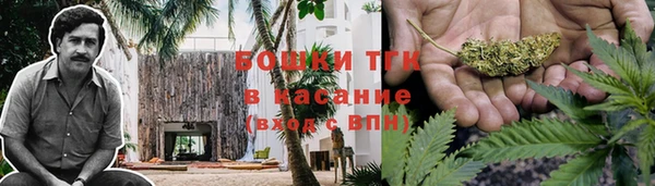 гашик Алексеевка