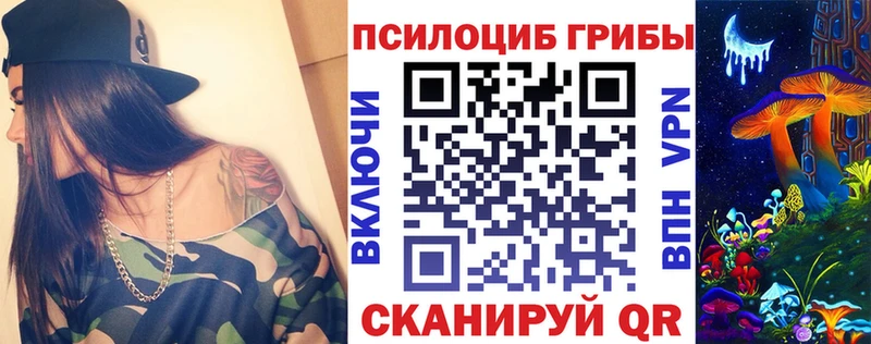 Псилоцибиновые грибы Psilocybe  KRAKEN ССЫЛКА  Тобольск 