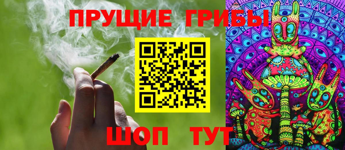 Галлюциногенные грибы Psilocybine cubensis Тобольск