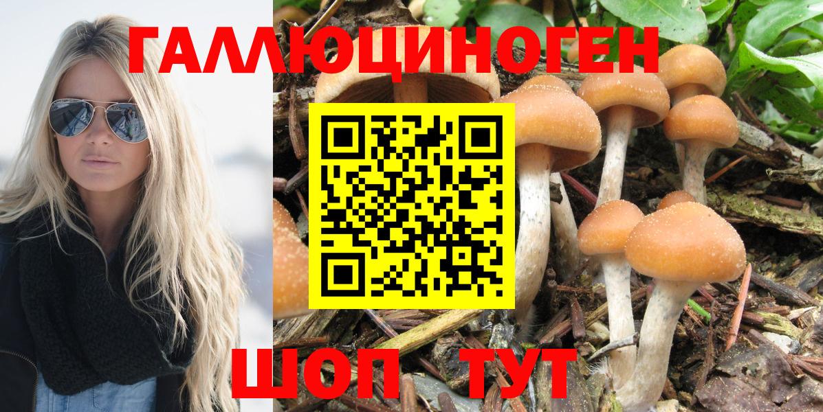 Галлюциногенные грибы Cubensis  Галлюциногенные грибы MAGIC MUSHROOMS  Тобольск  Вход с VPN 
